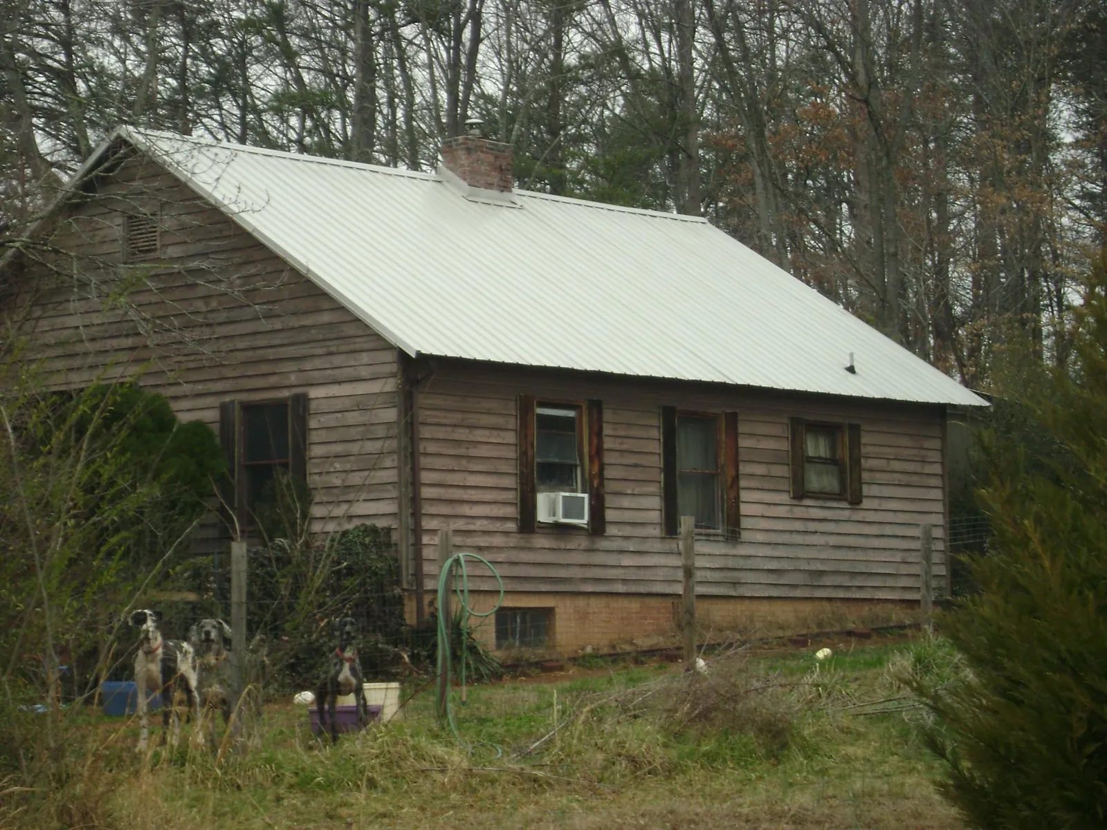 White metal roof on an old wood sided farmhouse, from a Asphalt Shingle Roof Repair job in Elba